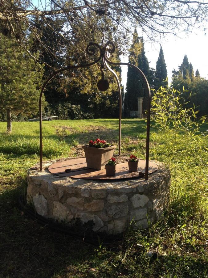 סן-קנה Suite De L'Olivier Au Mas Au Coeur De La Provence &Spa חדר תמונה